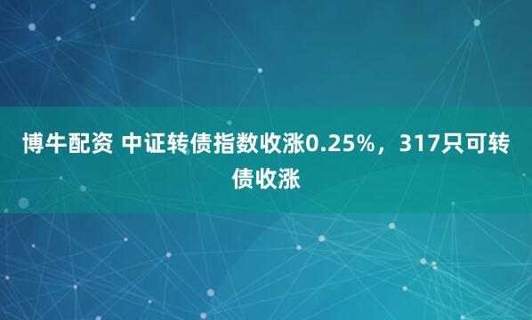 博牛配资 中证转债指数收涨0.25%，317只可转债收涨