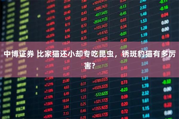 中博证券 比家猫还小却专吃昆虫，锈斑豹猫有多厉害?