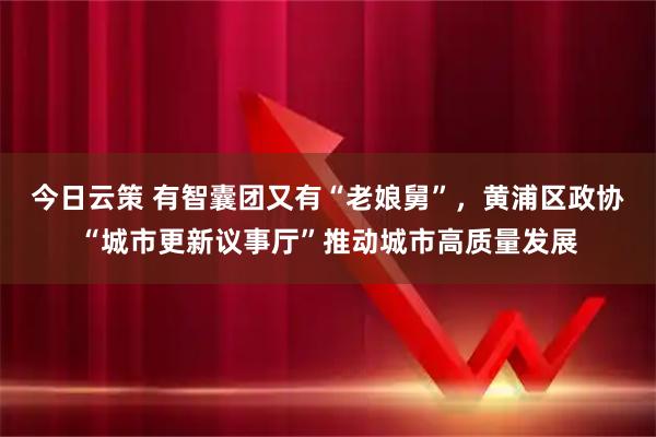 今日云策 有智囊团又有“老娘舅”，黄浦区政协“城市更新议事厅”推动城市高质量发展